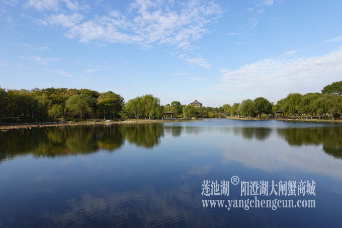 阳澄湖畔-莲池湖的早晨