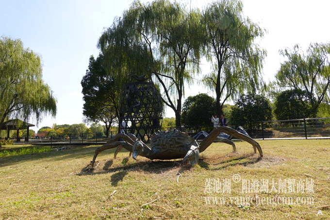莲池湖大闸蟹