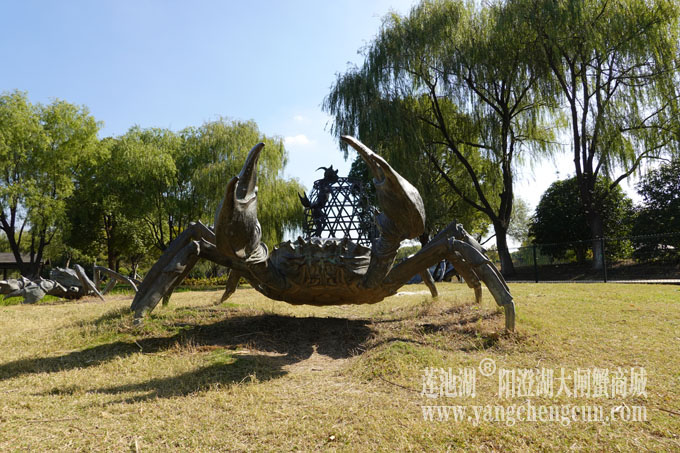 莲池湖大闸蟹