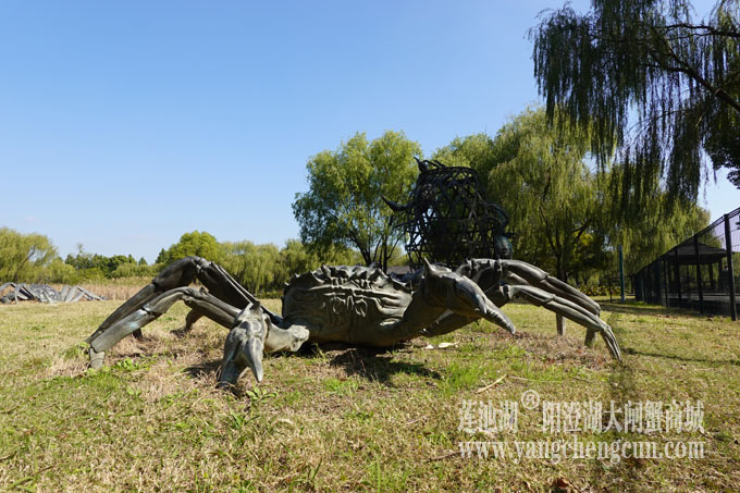 莲池湖大闸蟹