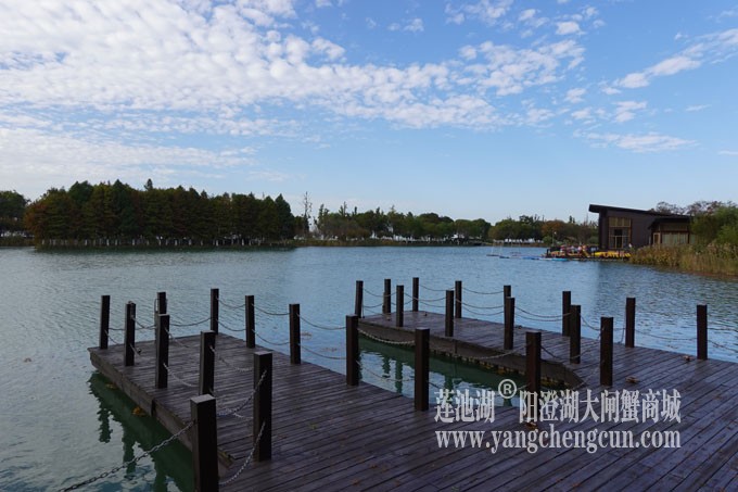 阳澄湖畔-冬日夕鹭园