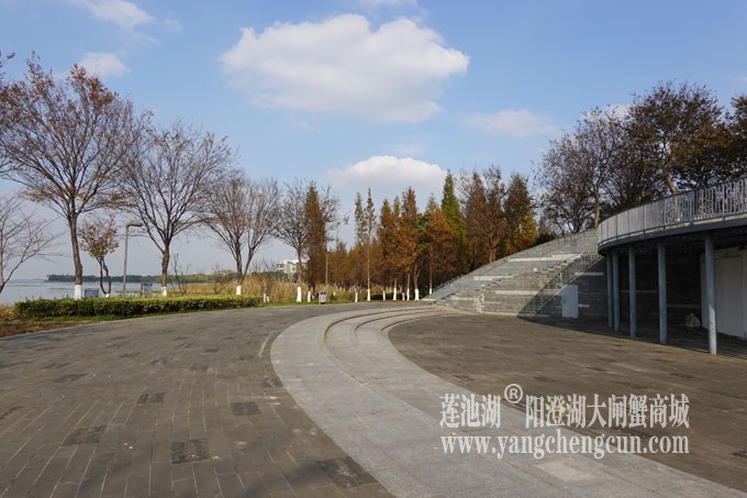 巴城生态湿地公园（冬天）