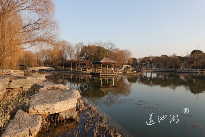 莲池湖-冬日暖阳