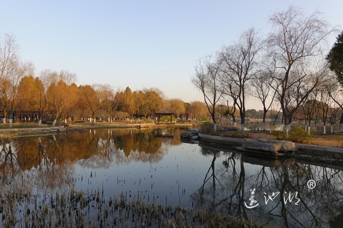莲池湖-冬日暖阳