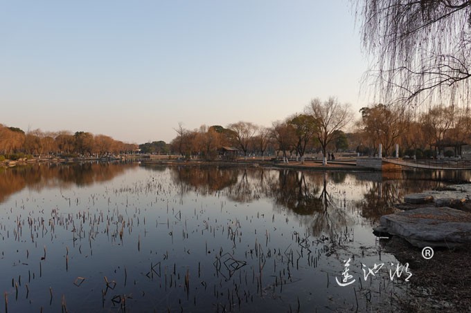莲池湖-冬日暖阳