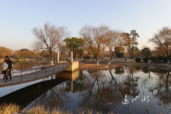莲池湖-冬日暖阳