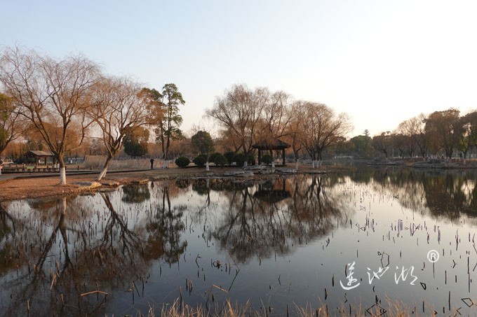 莲池湖-冬日暖阳