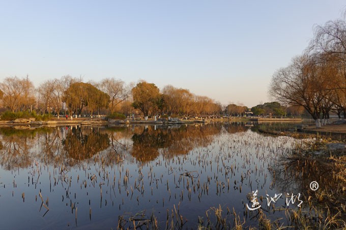 莲池湖-冬日暖阳