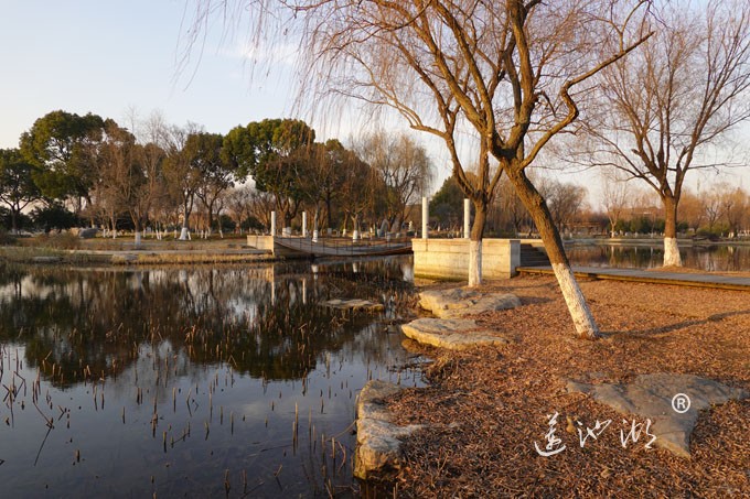 莲池湖-冬日暖阳