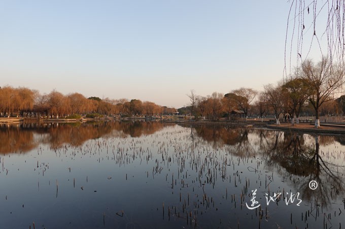 莲池湖-冬日暖阳