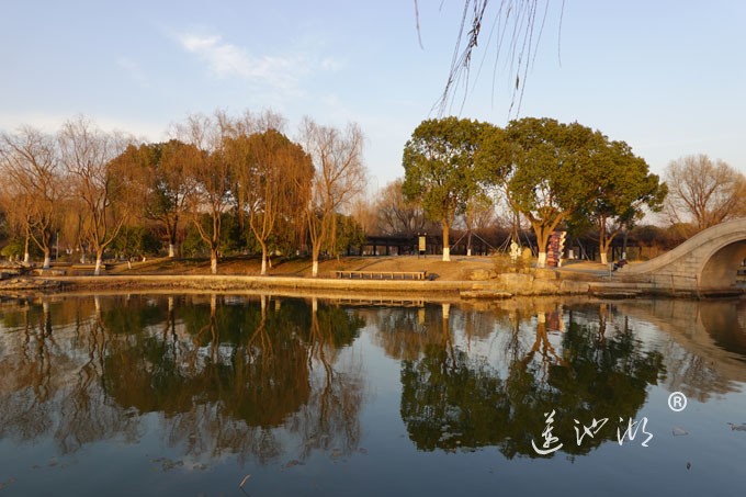 莲池湖-冬日暖阳