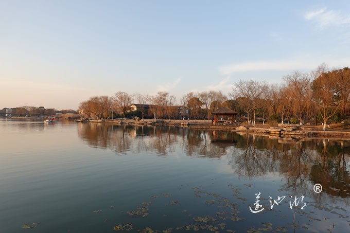 莲池湖-冬日暖阳
