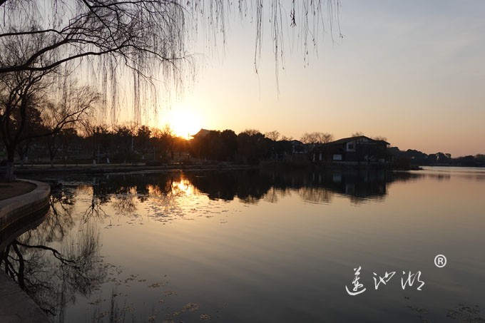 莲池湖-日落时分