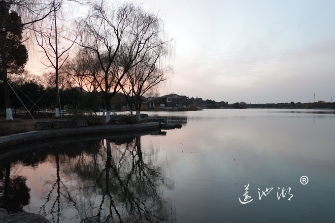 莲池湖-夕阳西下
