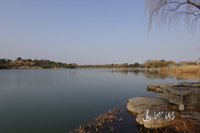 朝阳映在莲池湖上