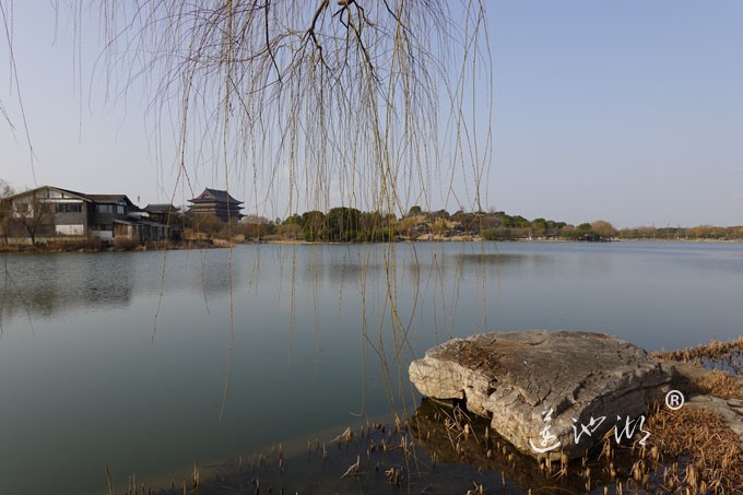 朝阳映在莲池湖上