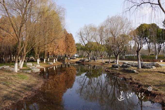 朝阳映在莲池湖上