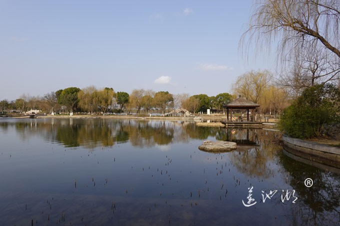 朝阳映在莲池湖上