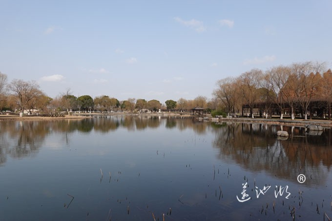 朝阳映在莲池湖上