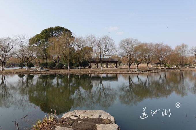 朝阳映在莲池湖上