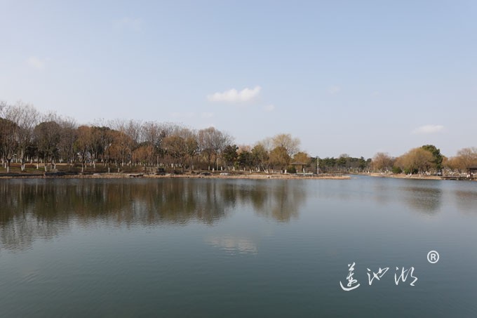 朝阳映在莲池湖上