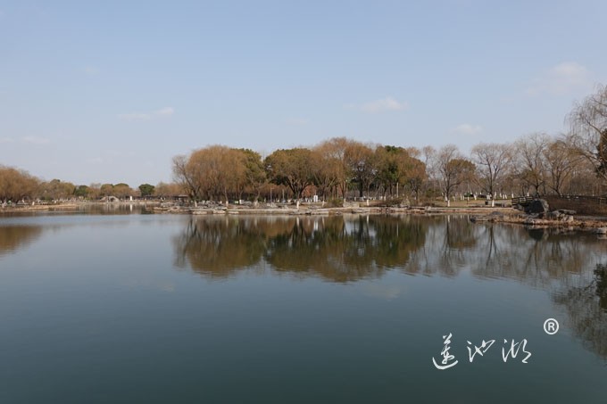 朝阳映在莲池湖上
