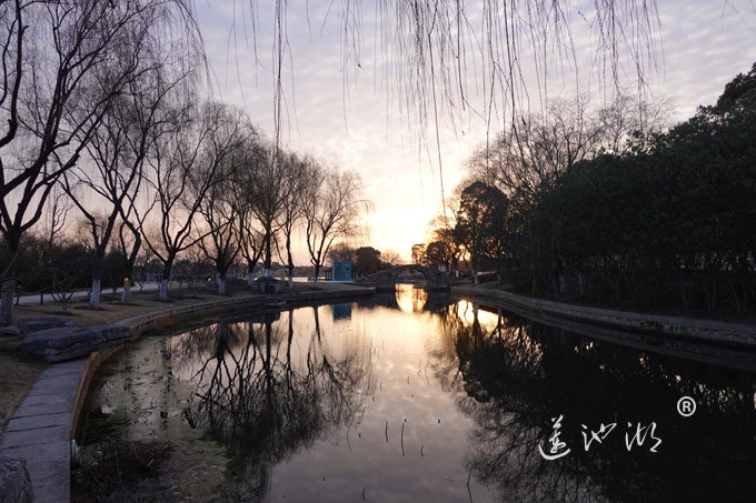 莲池湖上看日出