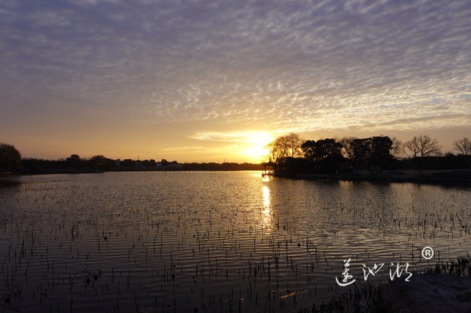 莲池湖上看日出