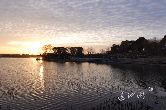 莲池湖上看日出