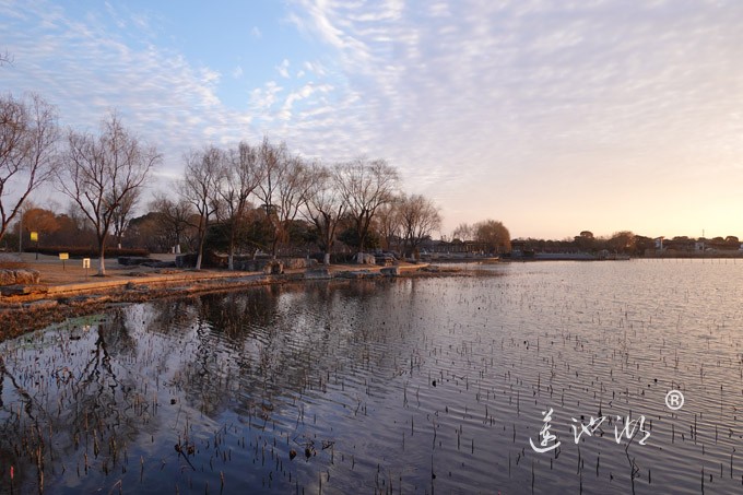 莲池湖上看日出