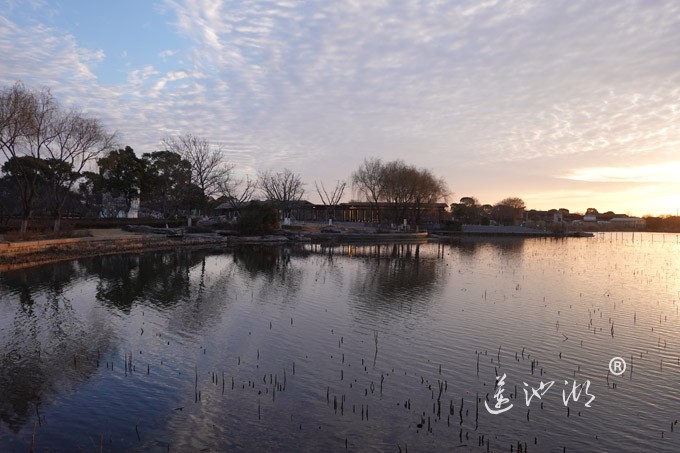 莲池湖上看日出