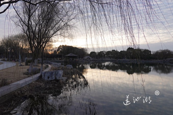 莲池湖上看日出