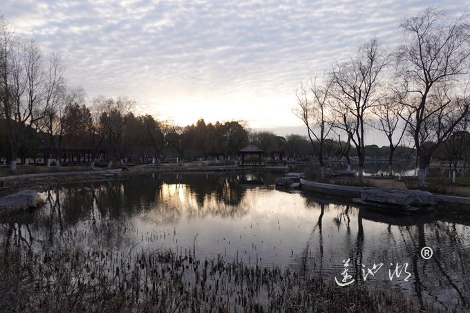 莲池湖上看日出