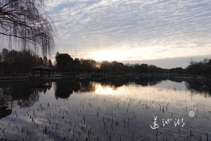 莲池湖上看日出