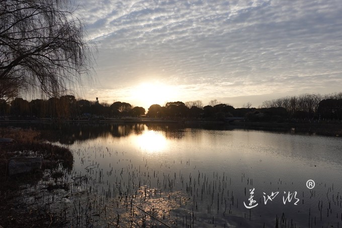 莲池湖上看日出