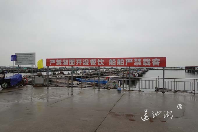 三月阳澄烟雨天