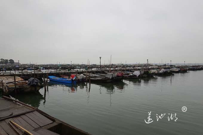 三月阳澄烟雨天