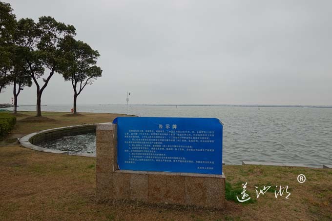 三月阳澄烟雨天