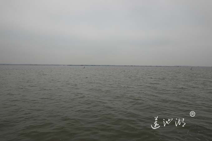 三月阳澄烟雨天