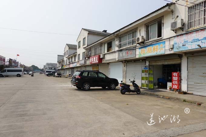 巴城巴解阳澄湖大闸蟹交易市场