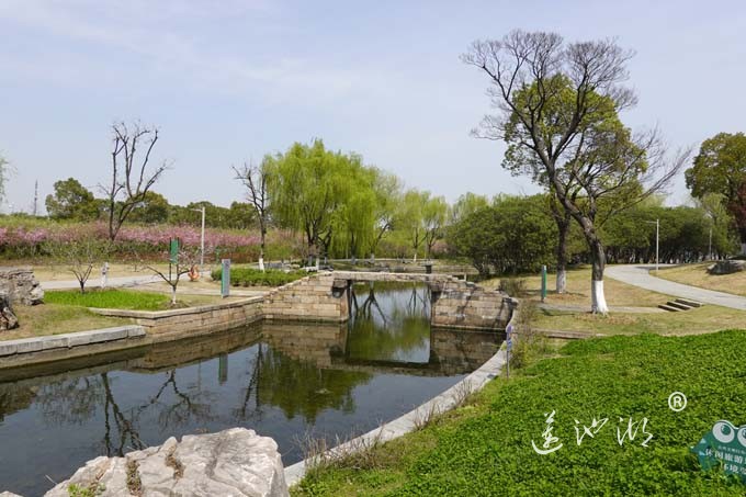 莲池湖的春天来了