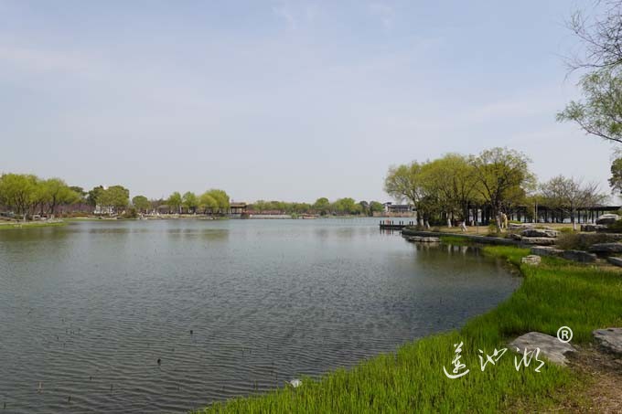 莲池湖的春天来了