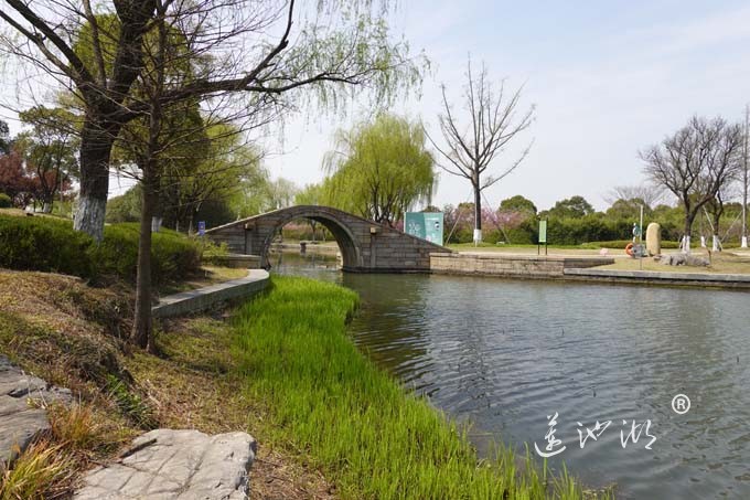 莲池湖的春天来了