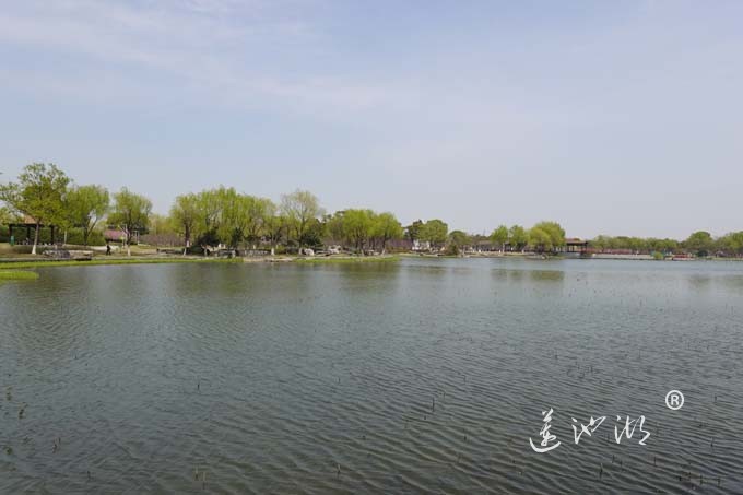 莲池湖的春天来了