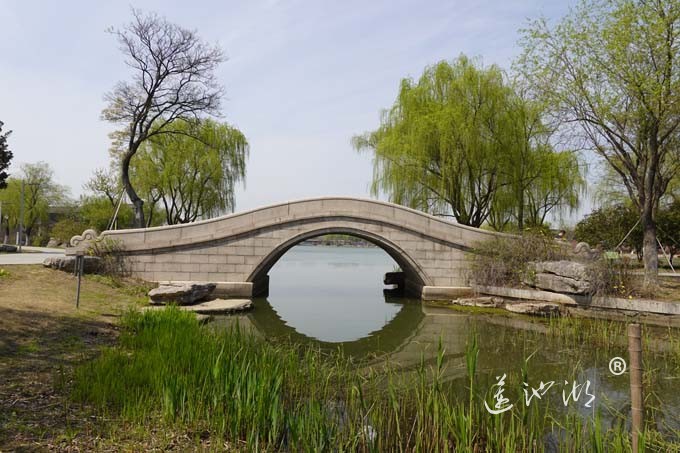 莲池湖的春天来了