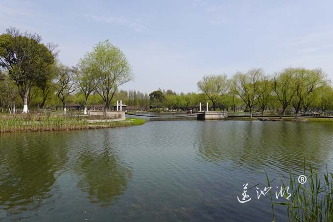 莲池湖的春天来了