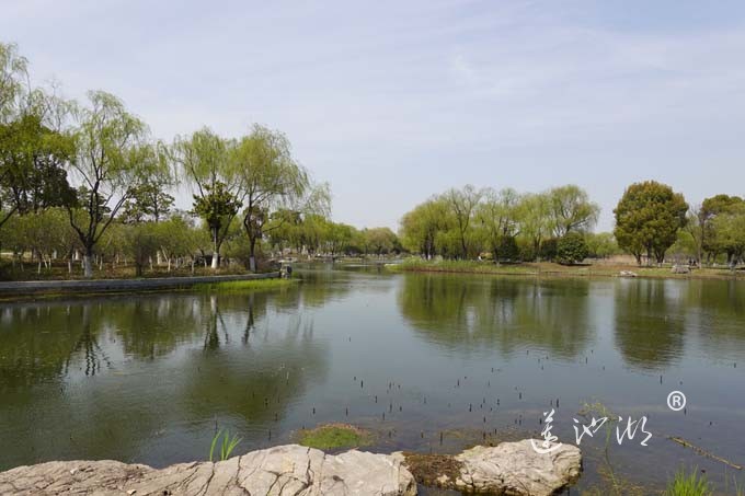 莲池湖的春天来了