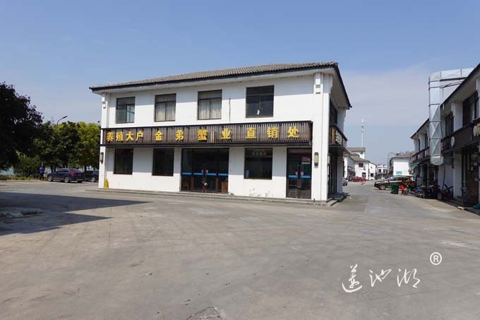 阳澄湖浅水湾商业街(图片)