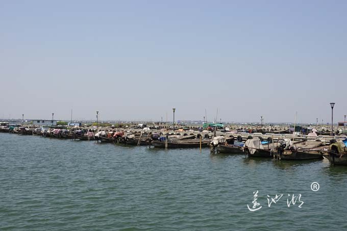 阳澄人家-蟹农码头