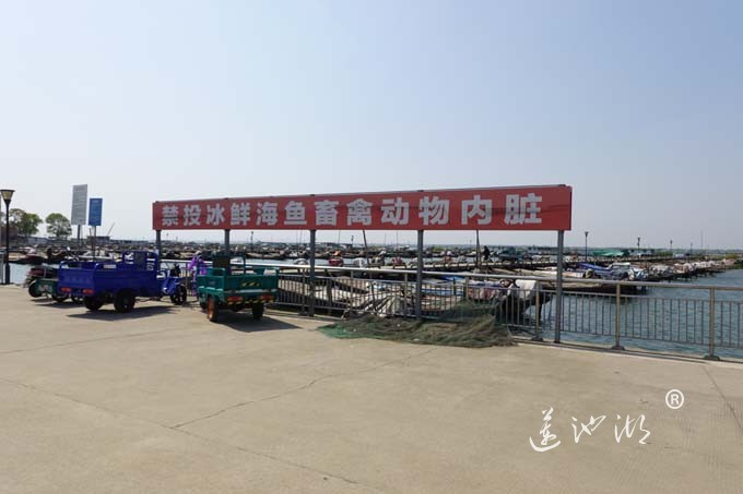 阳澄人家-蟹农码头